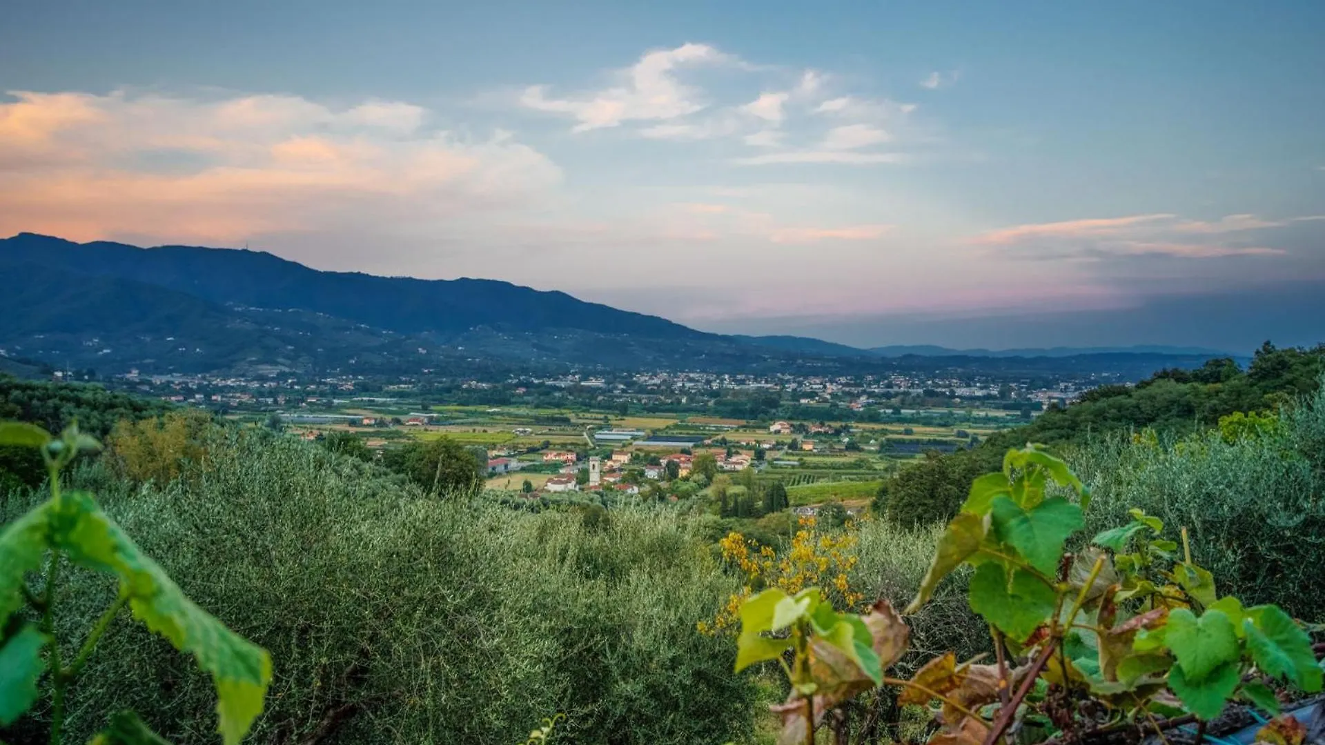 Villa Debby Lucca